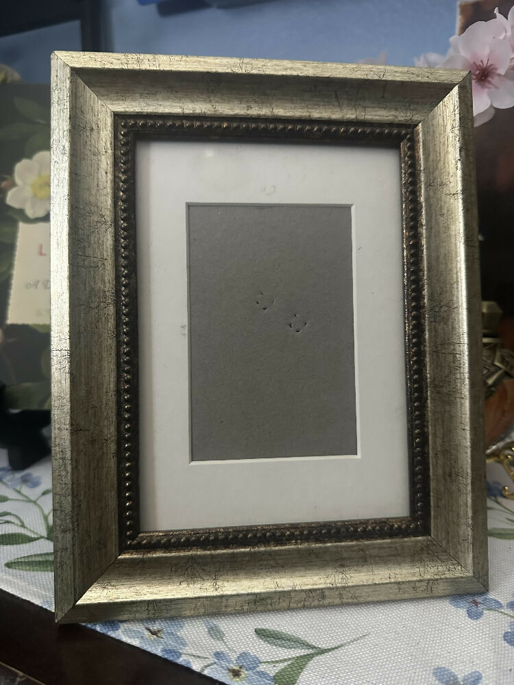 Framed Custom Oil Painting - 5 x 7in
