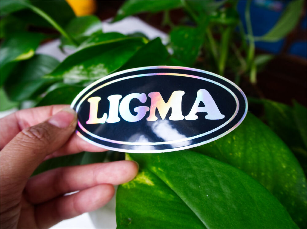 LIGMA - meme sticker