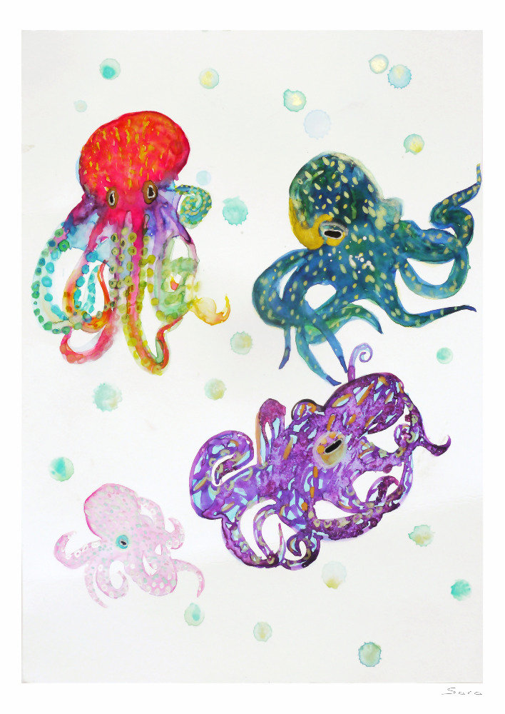 Octupus Octopi Octopod Octopuses