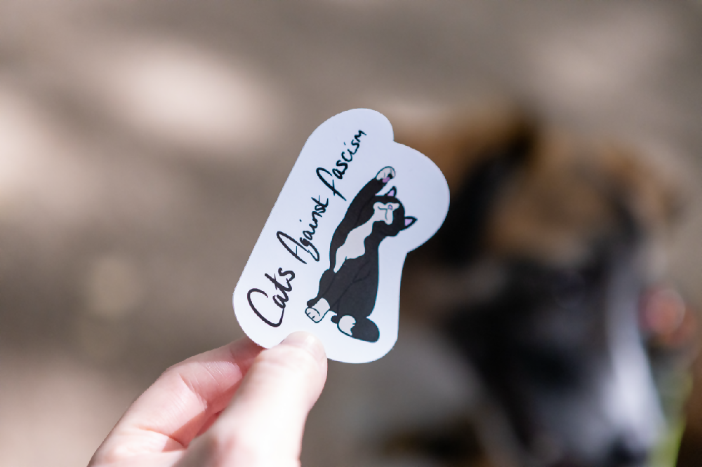 Cats Against Fascism Sticker