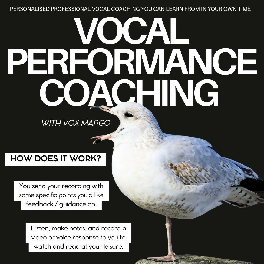 How does it work? You send your recording with some specific points you'd like feedback / guidance on. I listen, make notes, and record a video or voice response to you to watch and read at your leisure.