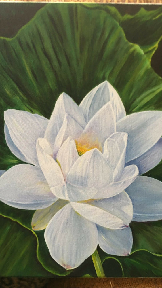 Water Lily Art Print