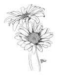 Daisies I