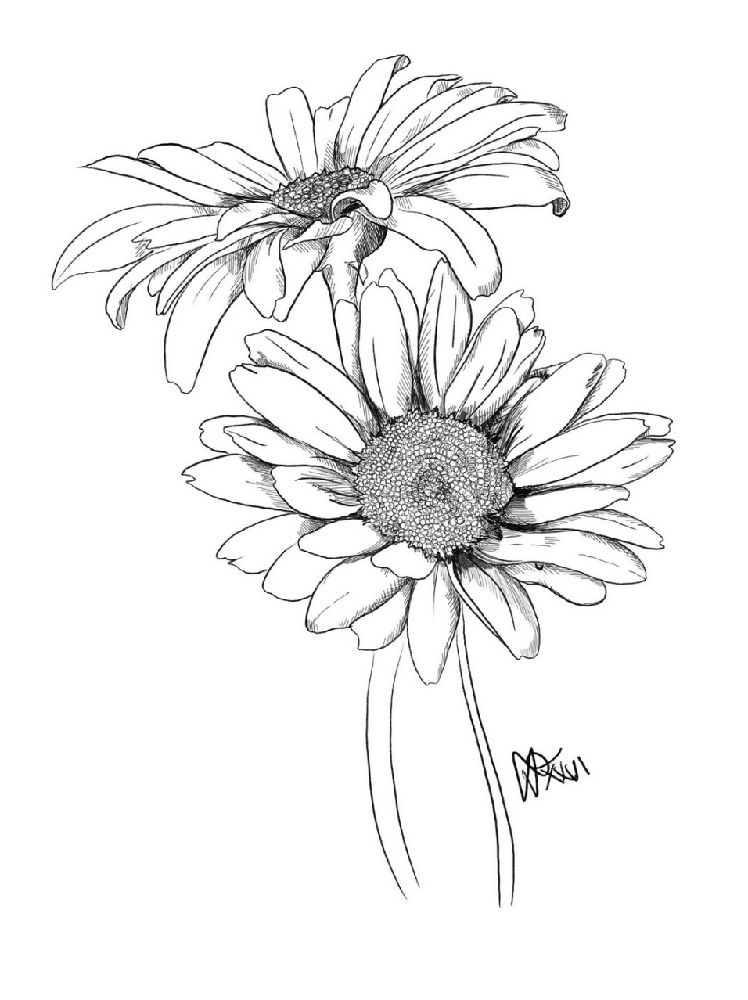 Daisies I