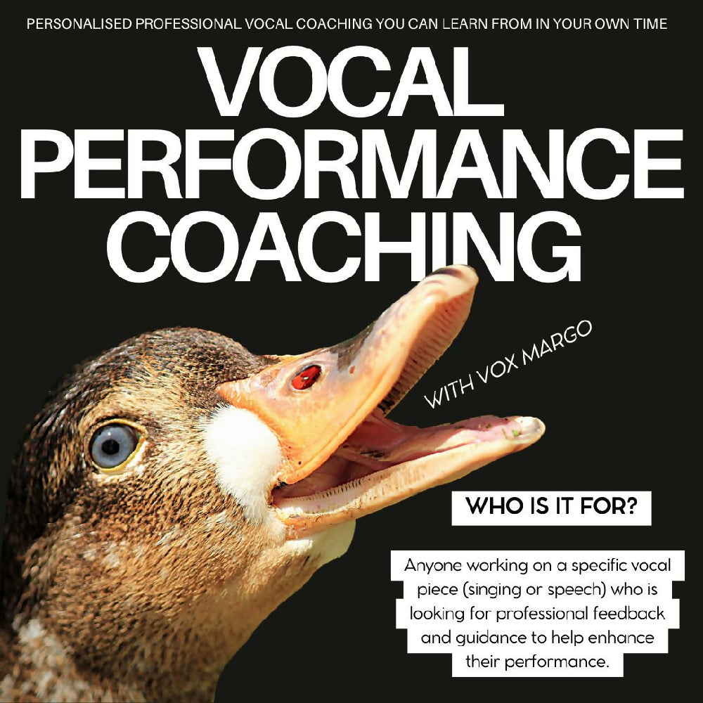 Who is it for? Anyone working on a specific vocal piece (singing or speech) who is looking for professional feedback and guidance to help enhance their performance.