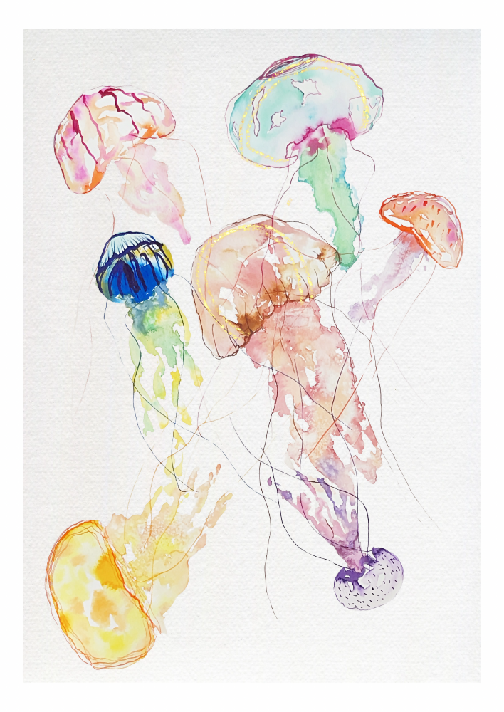 Make A Jellywish