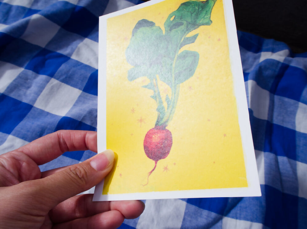 radish - vegetable postcard prints