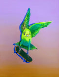 Ascension
