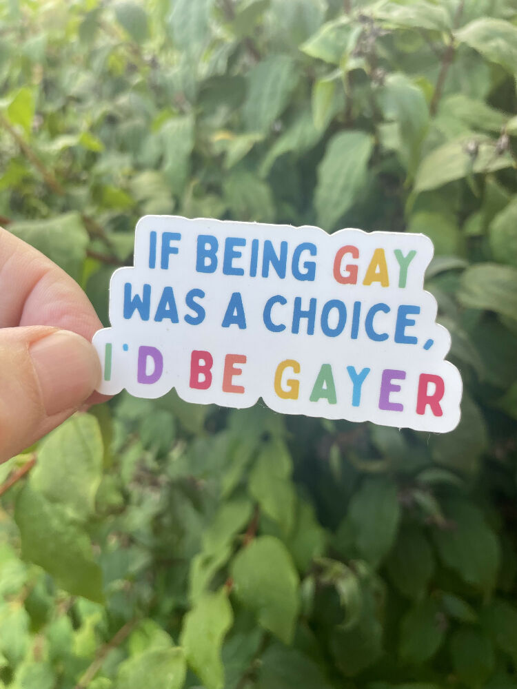 Queer Rights Vinyl Sticker LGBTQIA Pride Activist Decal