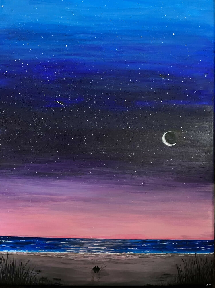 Nighttime Sky on Anastasia Island Beach Florida Art Print