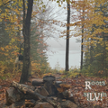 Roots Album With Lyric Sheets