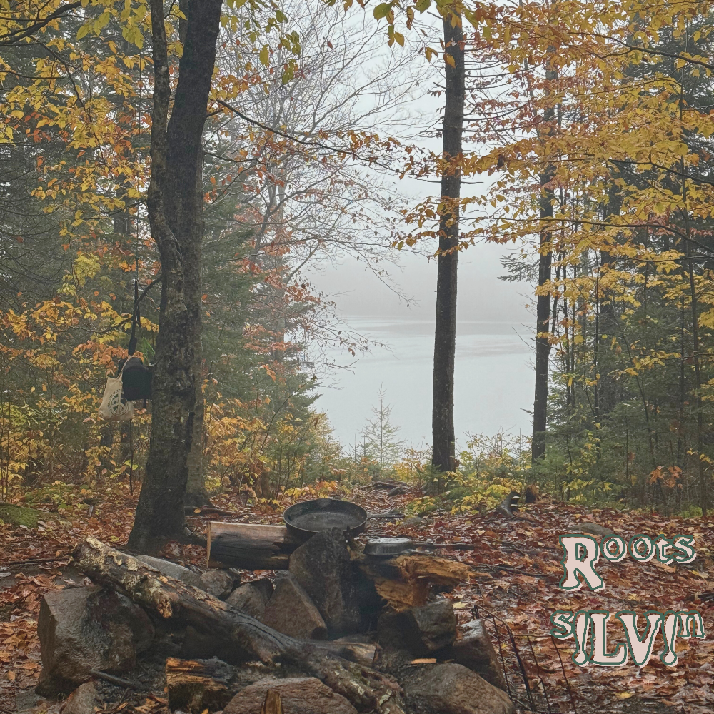 Roots Album With Lyric Sheets