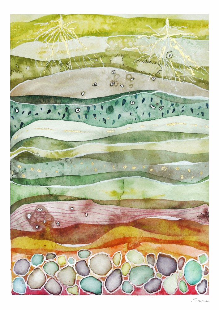 Strata