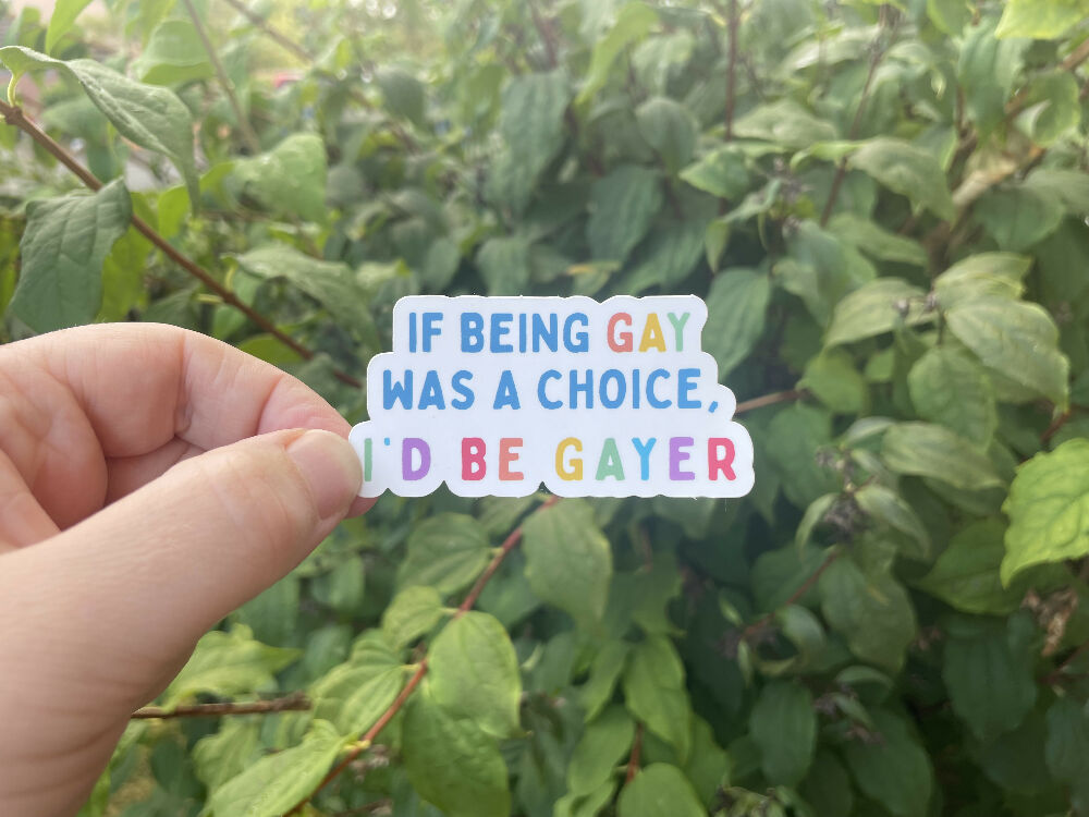 Queer Rights Vinyl Sticker LGBTQIA Pride Activist Decal