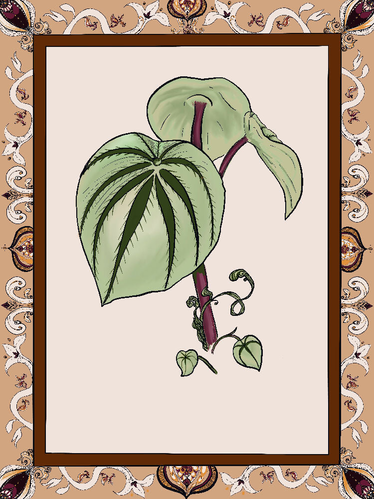 Floral Digital Illustration Print -Fantasia Floreale- A4plus print 2