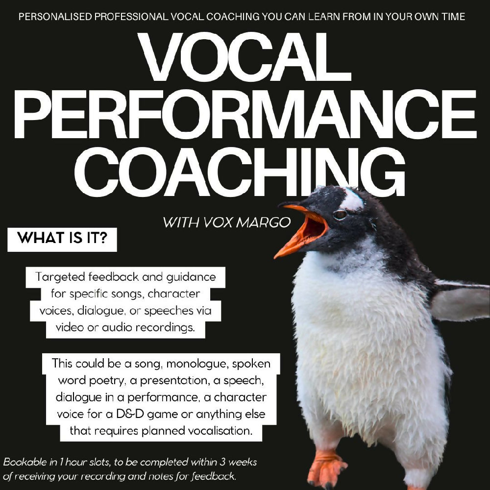 What Is It? Targeted feedback and guidance for specific songs, character voices, dialogue, or speeches via video or audio recordings. This could be a song, monologue, spoken word poetry, a presentation, a speech, dialogue in a performance, a character voice for a D&D game or anything else that requires planned vocalisation. Bookable in 1 hour slots, to be completed within 3 weeks of receiving your recording and notes for feedback.