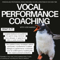 What Is It? Targeted feedback and guidance for specific songs, character voices, dialogue, or speeches via video or audio recordings. This could be a song, monologue, spoken word poetry, a presentation, a speech, dialogue in a performance, a character voice for a D&D game or anything else that requires planned vocalisation. Bookable in 1 hour slots, to be completed within 3 weeks of receiving your recording and notes for feedback.
