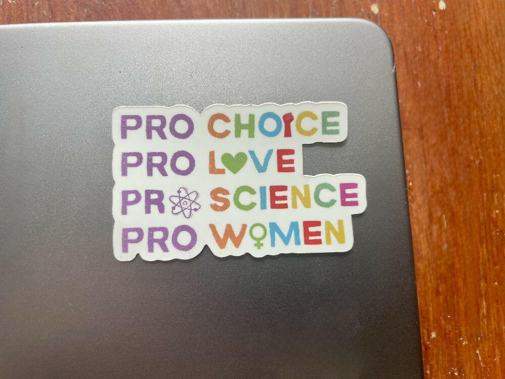 Pro Choice Pro Love Vinyl Die Cut Sticker