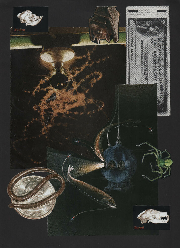 What Feeds You - Mixed Media Collage Art Print - A4 Size