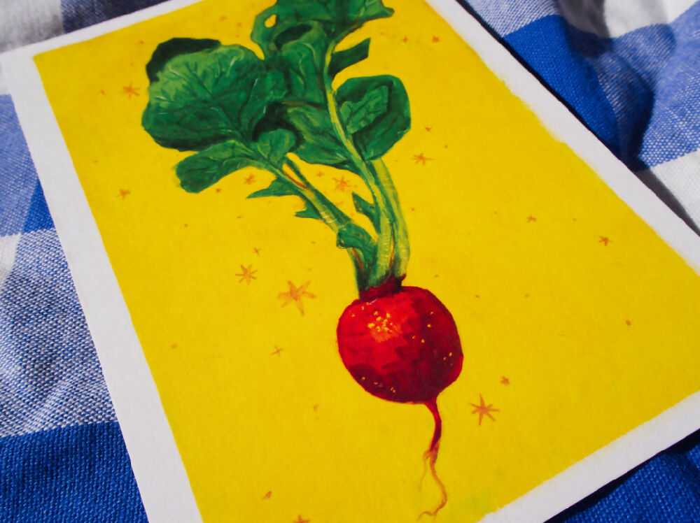 radish - vegetable postcard prints