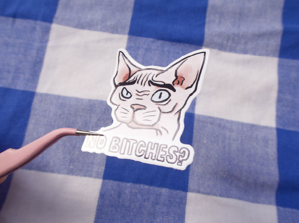 no bitches - cat meme sticker