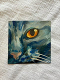 Gaze Blue Cat Magnet