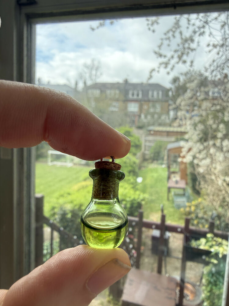 West Bank Olive Oil