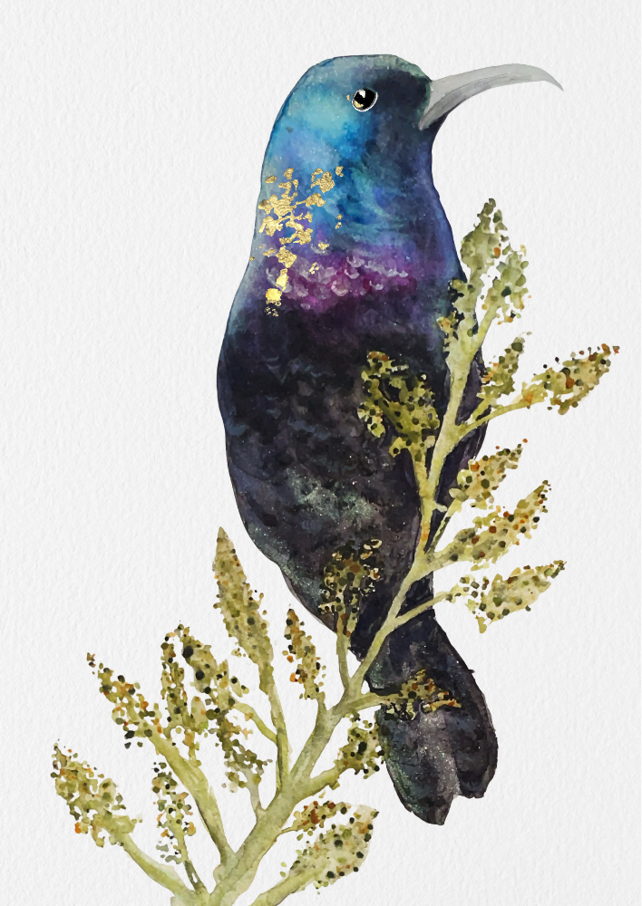 Gaza Sunbird