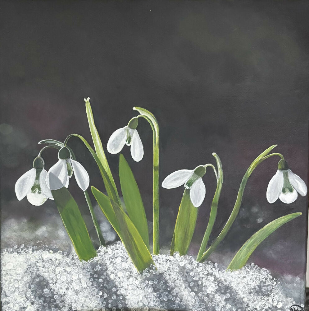 Resilient Snowdrops Art Print