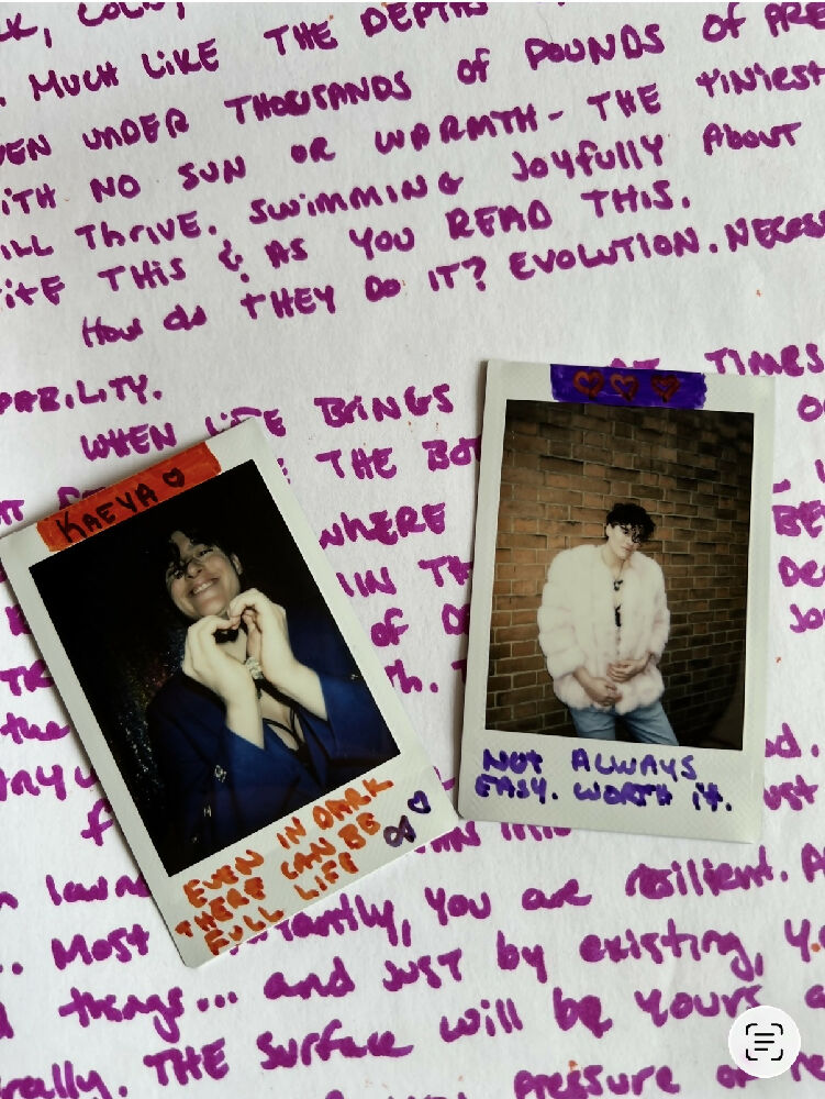 Polaroids - Rain Dove Original Collection